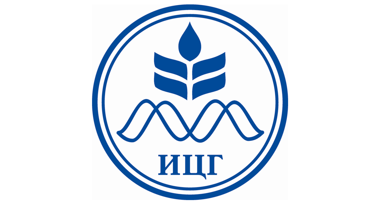 Штаммы продуценты ферментов и рекомбинантных белков